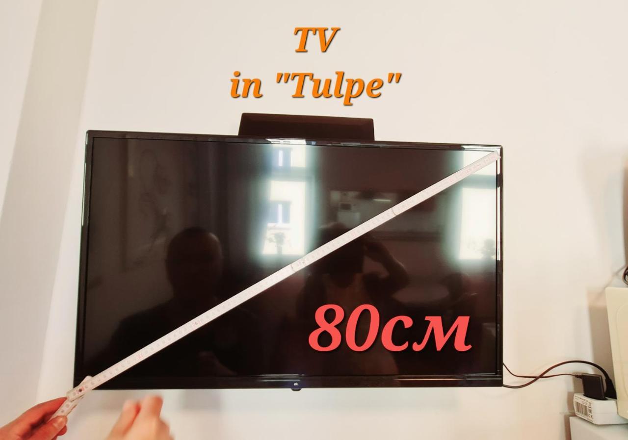 Elena Flat Tulpe Duisburg Zentrum Dış mekan fotoğraf